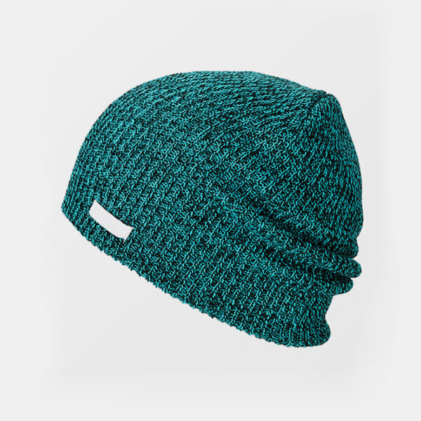 Neff Daily Heather Beanie