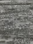 Silver Sequin Lace Fabric: Embroidered Geometric Mesh, 52" Wide