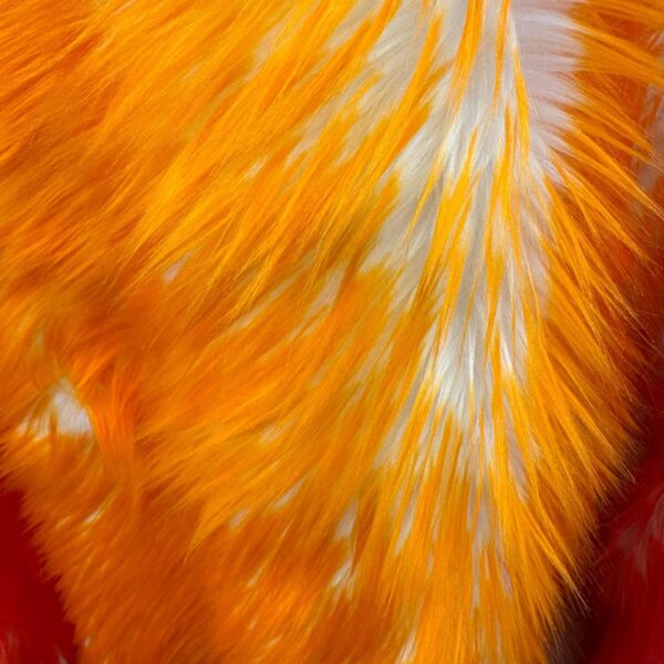 Orange and White Shaggy Faux Fur Fabric  60" Wide, Costume and Decor