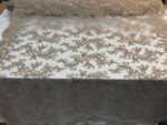 Mocha Floral Embroidered Lace Fabric  Corded Sequins, Bridal Couture