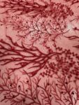 Red 3D Beaded Embroidered Lace Fabric | Corded Floral Branch Design with Pearls & Sequins | 50–54” Wide | Luxury Couture Lace for Gowns