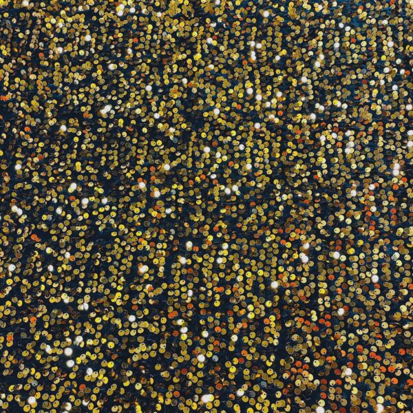 Black Velvet Fabric with Gold Sequins  Glam Evening Gown Material